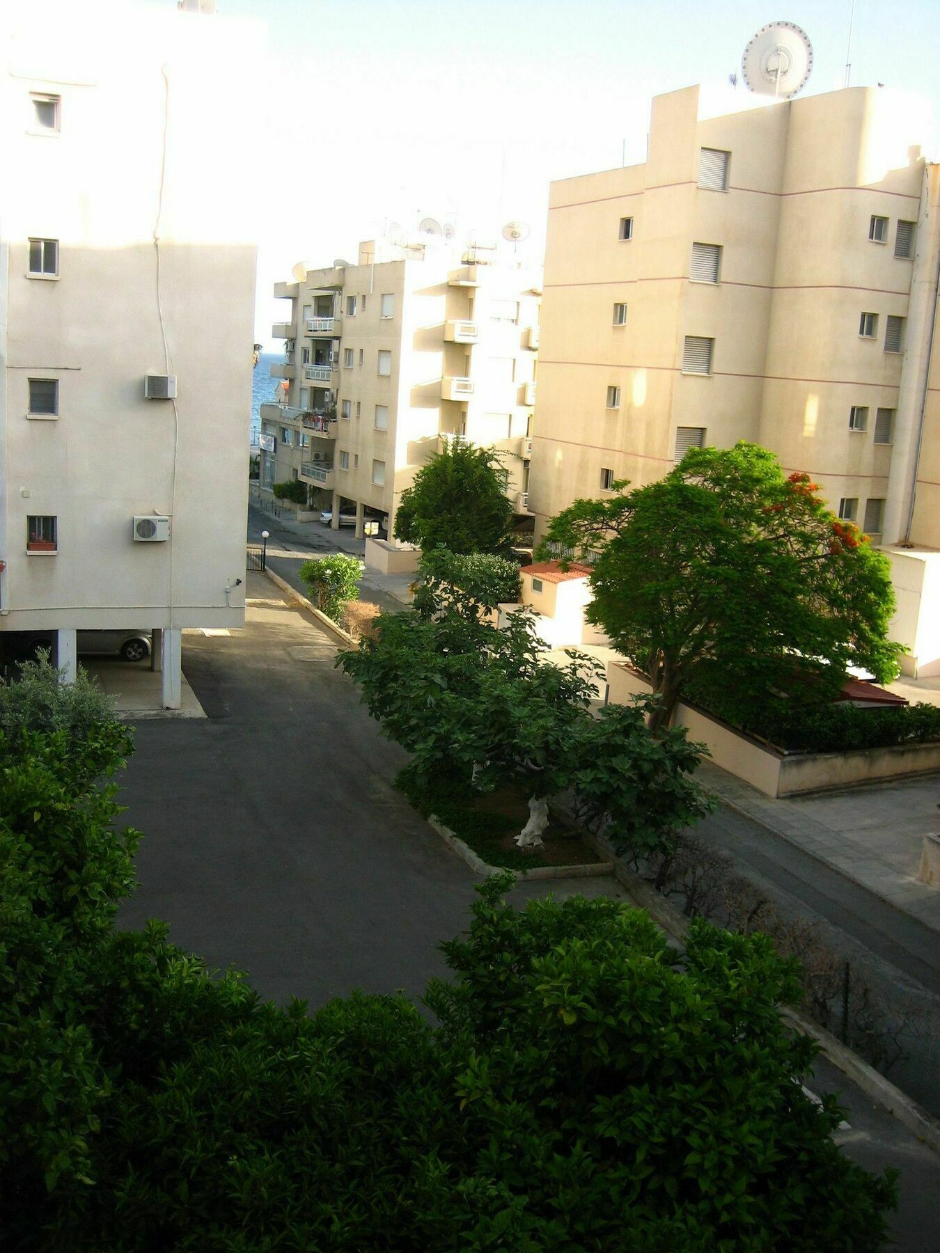 Green Valley Modern Studio Limassol Bagian luar foto
